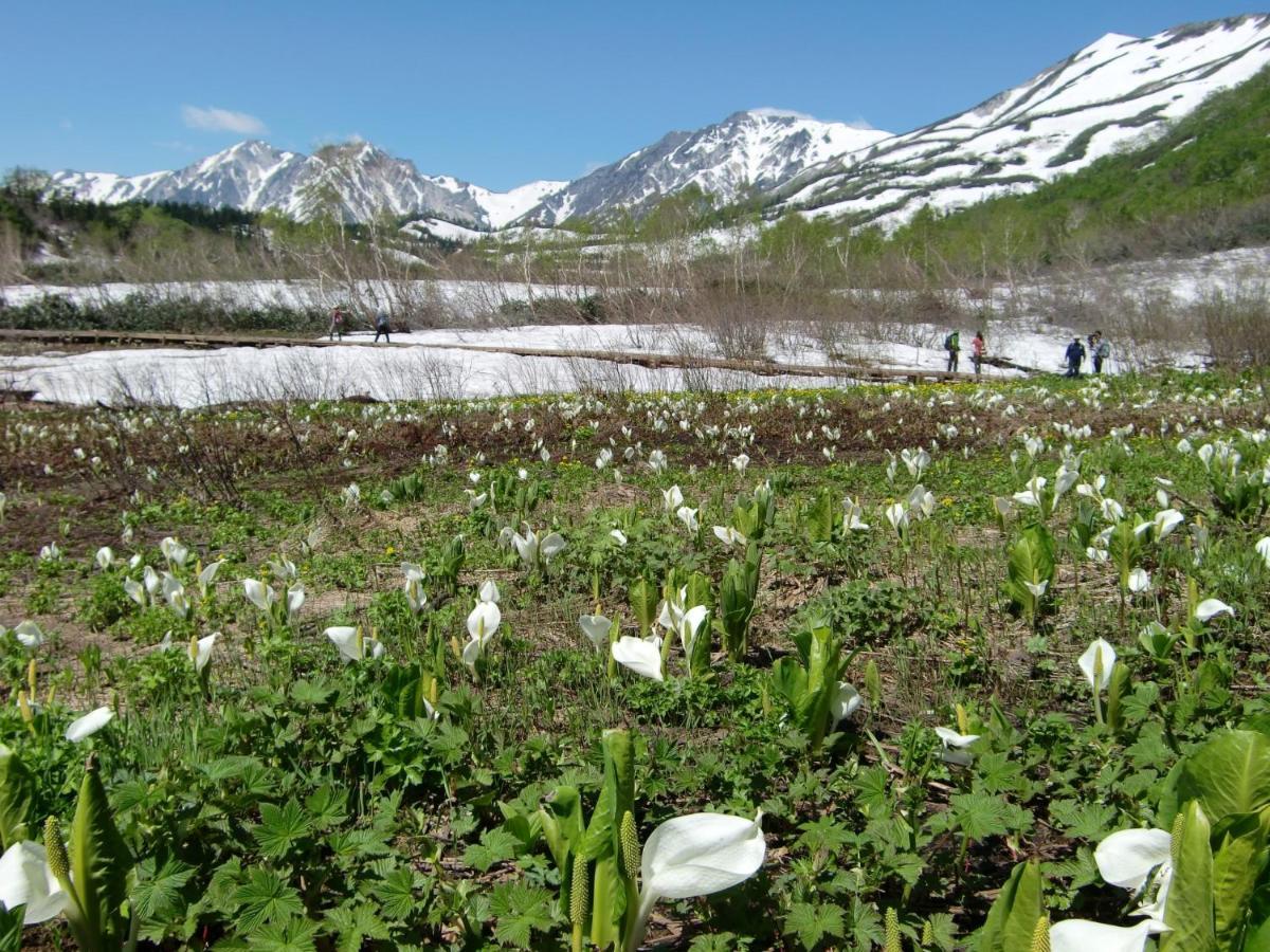 Anri Villa Hakuba Buitenkant foto